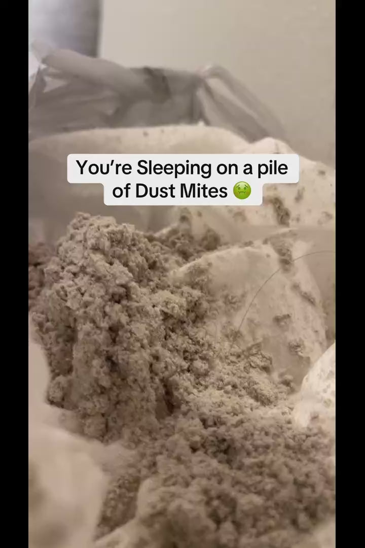 reelplus_Vid1.mp4_cf1a01f7-de47-46e2-9f17-842c5fe72498