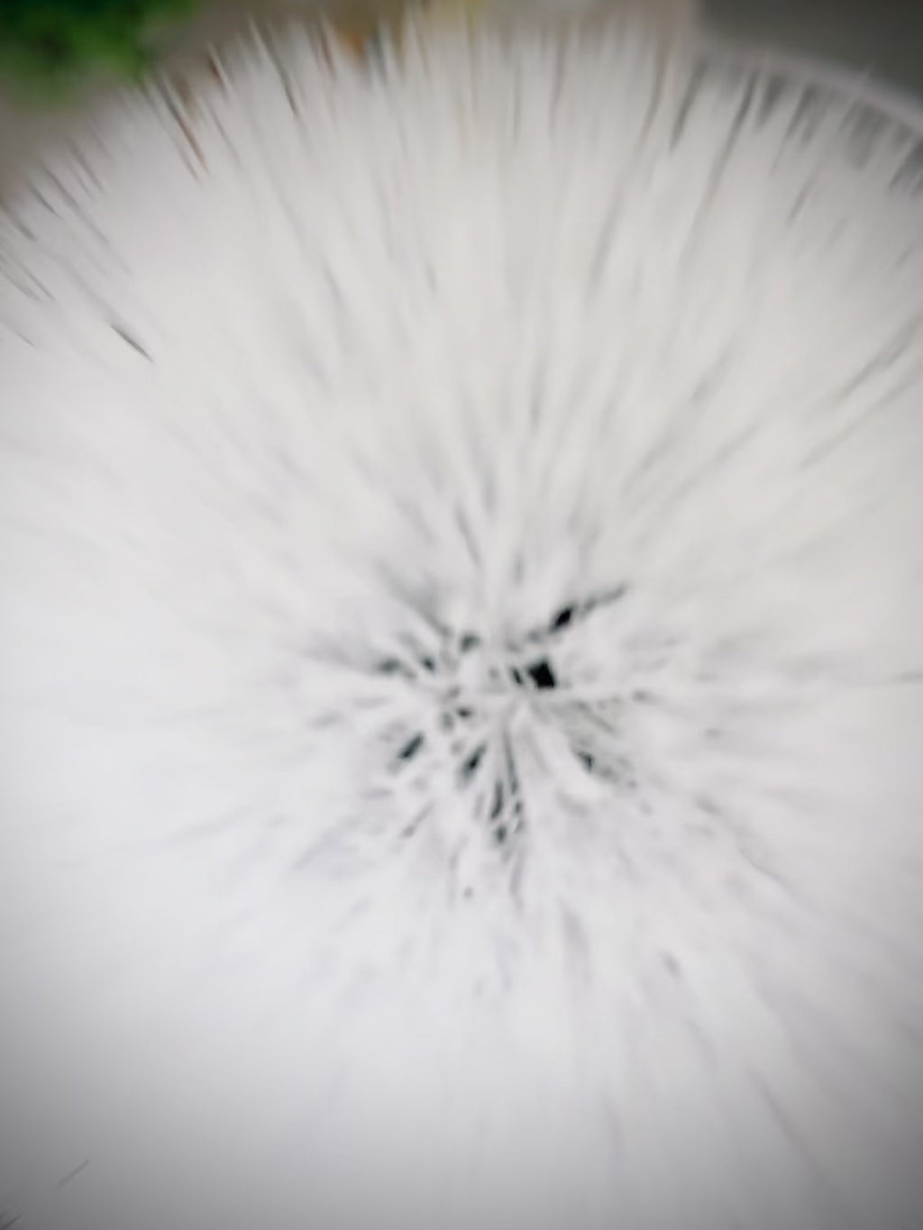 Cleanly™ Electric Cleaning Brush